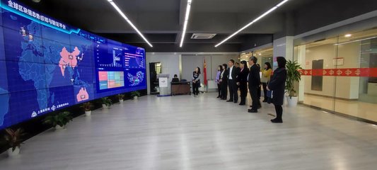 蔡佳麗副區長率隊赴上海開展區塊鏈技術招商考察，助力區域數字經濟發展